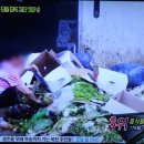 착한먹거리 이미지