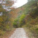 ＜＜계백과 김유신의 격전지 백화산 금돌성 산행기＞＞ 이미지