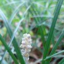 당두공원 이미지