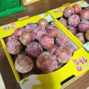 병순농장 이미지