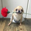 와우산로 71 프라이빗홍대점 앞 | 서울 홍대 연남 상수 여름 프라이빗 영화관 실내데이트 코스 오타쿠 모임 칠인더시네마 홍대점