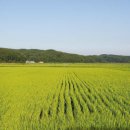 이곡2리 마을회관 이미지