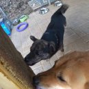 개꿀pc방 이미지