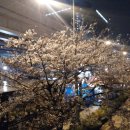 신발신고 이미지