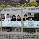 [공지] [후기] 2025 관상어 파충류 박람회 [테라핀갤러리]