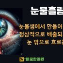 광천한방병원 | [광명눈한의원 눈물흘림증 치료후기] 눈질환인 눈물흘림증 원인과 한방치료