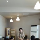 완도네시아 이미지