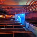 한국광고영상박물관 | 수수네 10주년 기념여행 in 칭다오 :: 2일차_꽃가게, 칭다오맥주박물관