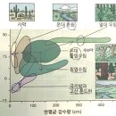 공무원 생물 조각 모음
