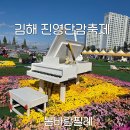 진영 | 경남 김해 진영단감축제 현장 후기