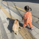 헬로우동물병원 이미지