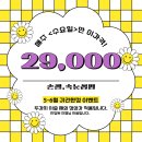 잠실새네네일샵 | 손빠르고 이달의 아트 예쁜 곳 허니네일 젤패디큐어 이달의 아트 후기