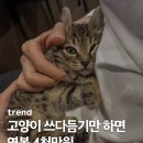 그리운자리민박
