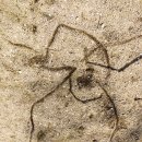 수도사랑의학교 이미지