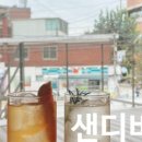 미미샌디