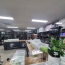 남동72 | [인천 / 남동구] 파충류샵 인천 크리스티드게코🦎 분양기 초등생 실제 사육기&#34;파충류샵 리치맨 인천점...