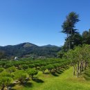 한울목장 이미지