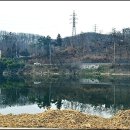 금호강 오토캠핑장 이미지