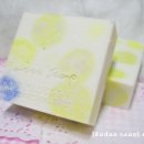 동그리솝 이미지