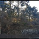 사량초등학교읍덕분교장 이미지