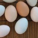 토리짐 휘트니스 이미지