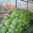 준이네분식 이미지