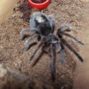 (주)그레이스 이미지