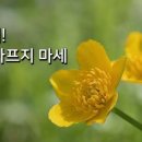 우리친구 이미지