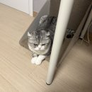 행복야식 - 중랑구 면목로 381 | 행복야식