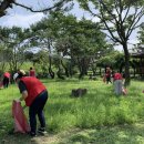 심천면사무소 이미지