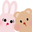 슈리오빌리지