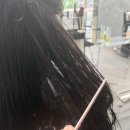우방미용실 - 달서구 | 죽전 미용실 추천 리메이크헤어 손상모 모발클리닉 솔직후기