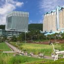 강원랜드 이미지