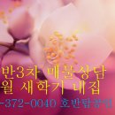 모닝글로리공인중개사사무소 이미지
