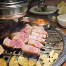 탄관마 이미지