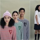 커티스몰