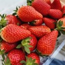 진천농장 이미지