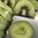 안녕달팽이 이미지