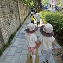 우성공원(자8.7) 이미지