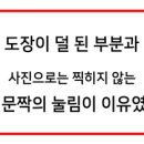 다이노맥스 네이버블로그