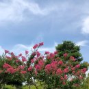 지에스25  해룡부영6차점 | 강릉 교동 빵집 가루 그리고 52블럭 (팡파미유만 찾지 마세유!)