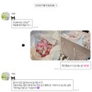 별마음 | 🌸W22 : 인천 본식부케 flab 플랩 내돈내산 너무 마음에 들었던 별튤립부케 후기
