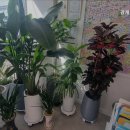 광개토부동산중개사무소 이미지