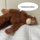생활과학대학 | 개강 한달차 사회과학대학의 석사2기는 어떻게 살까