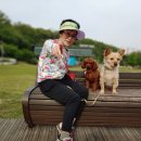 북서울꿈의숲(라포레스타) 이미지
