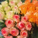 강진-10 | 꽃피는강진 장미꽃,직접 만든 생화꽃다발선물 솔직후기