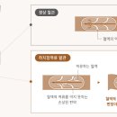 고운하지흉부외과의원 이미지