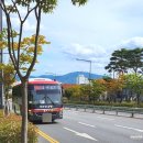 달곡(버스정류장) | 울산역 통도사역 KTX 편의시설 정보 리무진버스 주차장 식당 물품보관함