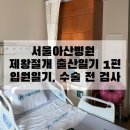 서울우리병원 | 서울아산병원 출산 후기 1탄 - 제왕절개 산모 수술 전날 입원기록