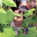 수림농장 이미지